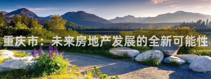 万向娱乐app