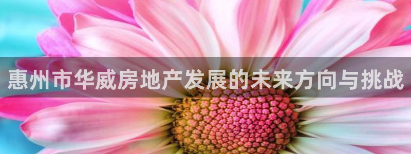 万向娱乐平台代理怎么做赚钱
