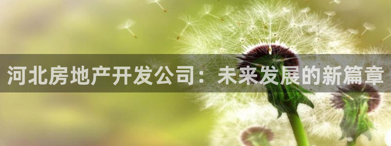 万象游戏代理