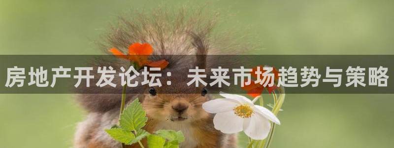 万向娱乐技术分享
