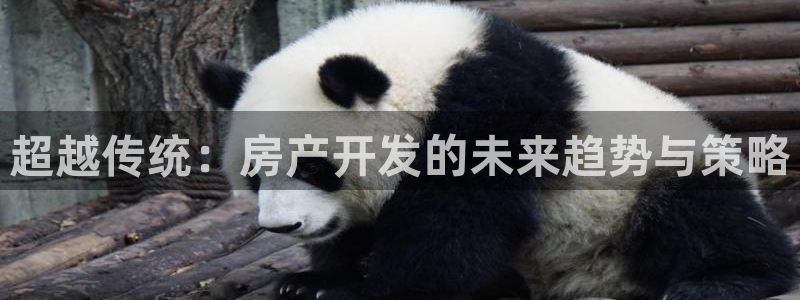 万向娱乐是哪个旗下