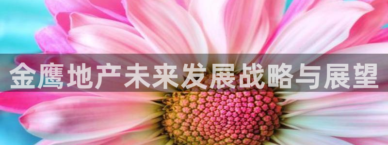 万向娱乐平台怎么下载