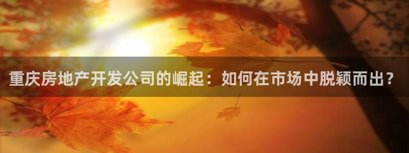 万向娱乐登陆