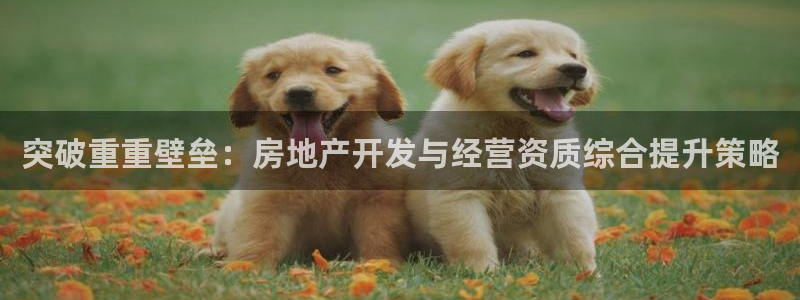 万象游戏代理