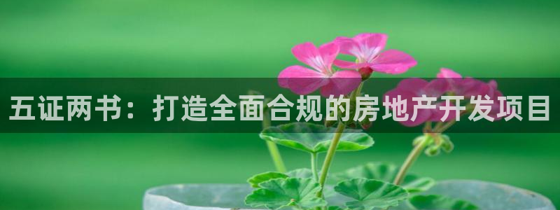 万向娱乐平台代理怎么样啊