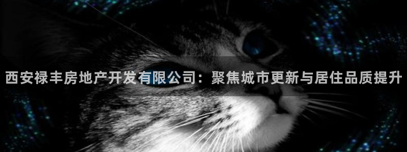 万向娱乐平台代理多少钱一年