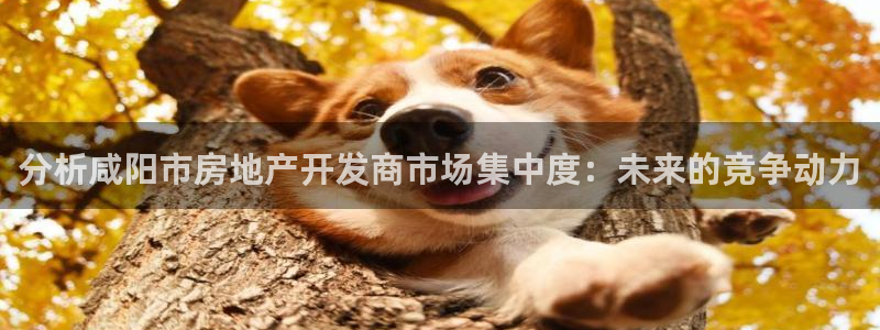 万向娱乐的联系方式