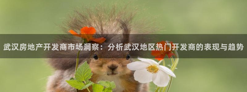 万向娱乐官网下载安装手机版