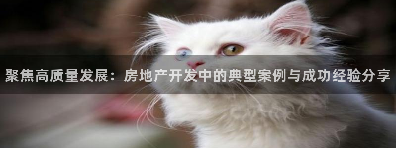 万向娱乐平台注册条件要求