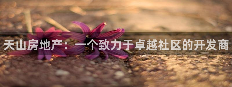 万向娱乐平台提现多久到账