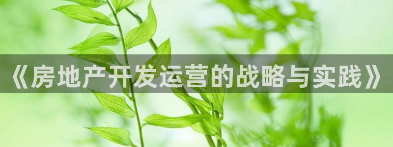 万向娱乐注册资金多少合适