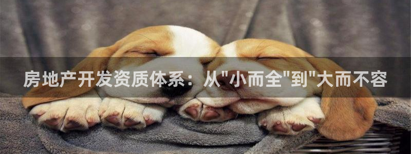 万向娱乐官网网址是多少