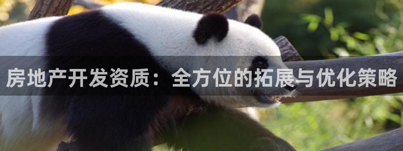 万向娱乐官网下载安装最新版