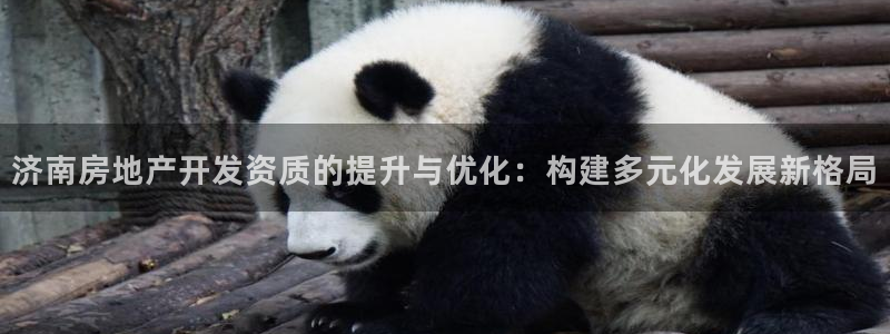 万向娱乐平台注册条件要求