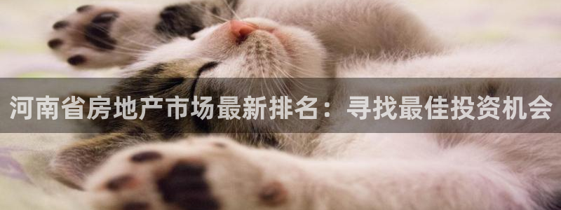 万向娱乐注册登录不了账号