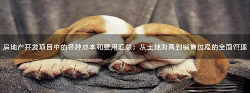 万向娱乐平台注册条件