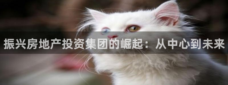 万向娱乐注册登录不上怎么回事