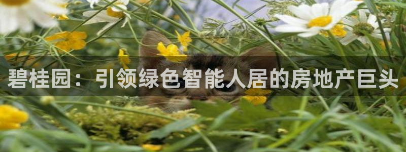 万向娱乐官网下载安装手机版