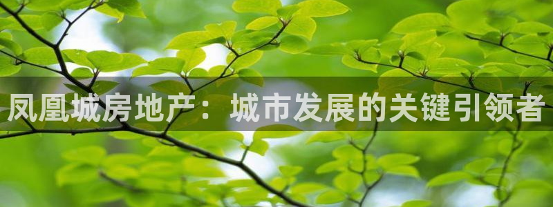 万向娱乐注册登录不了怎么办