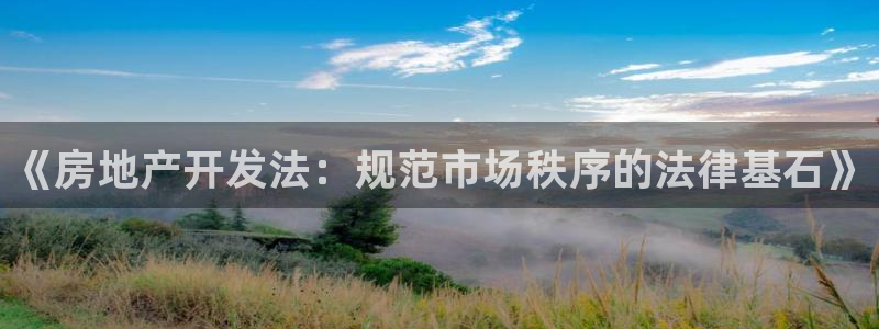 万向娱乐王者荣耀