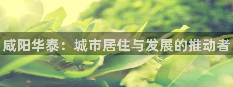 万向娱乐的494o3 主管