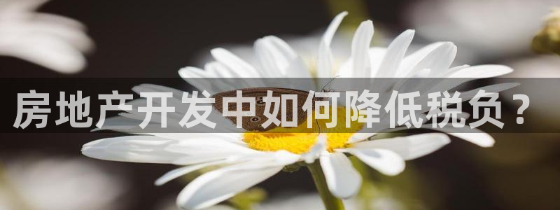万向娱乐平台代理怎么样赚钱