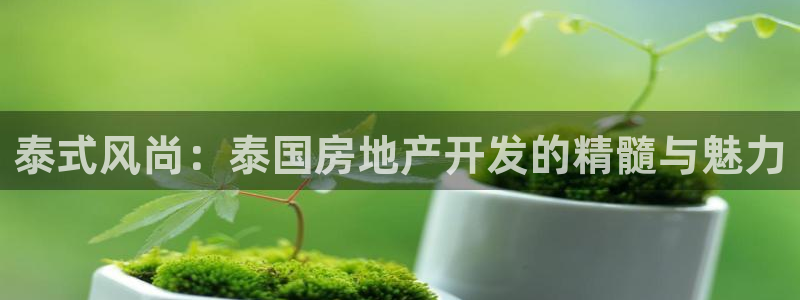 万向娱乐注册资金多少