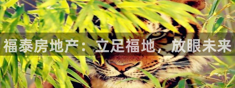 万向娱乐平台注册