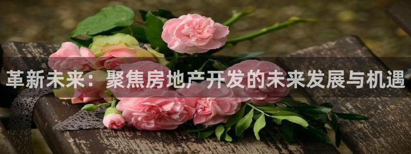 万向娱乐平台代理多少钱一个月